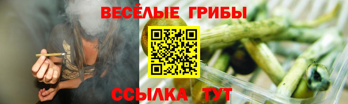 Галлюциногенные грибы GOLDEN TEACHER  Вход с VPN  Миасс 
